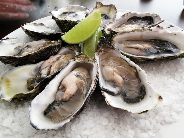 Oysters Cause Cholera Outbreak