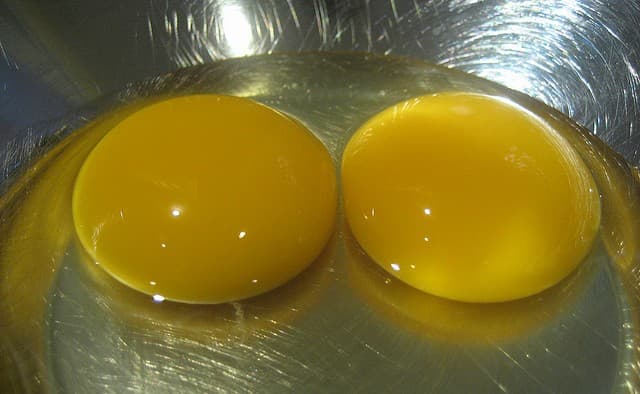 Bad Eggs Cost Home Cook More Than $20,000