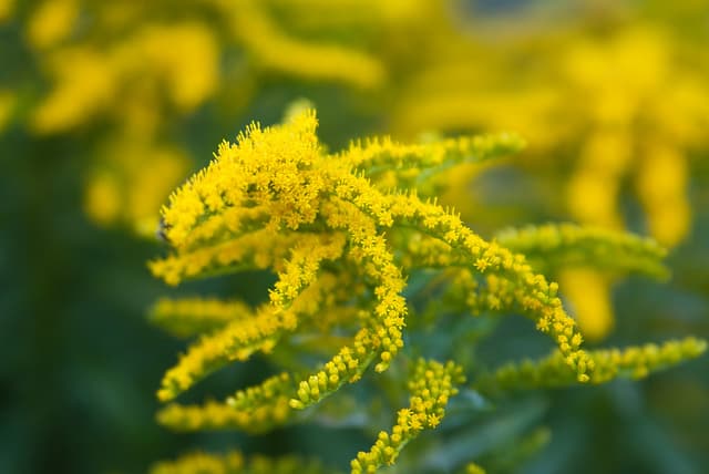 Put Your Health in Your Own Hands