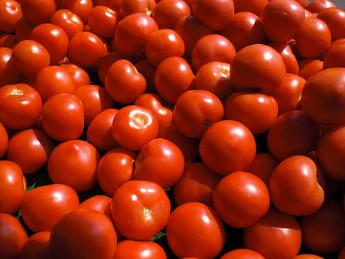 Seasonal Sunday: May 1 - 7