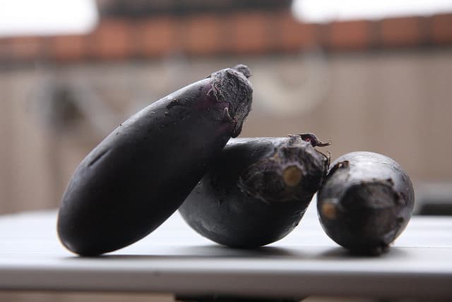 Eggplant