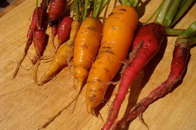 Carrots