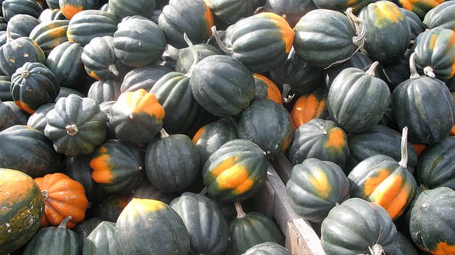 Over The Top Acorn Squash