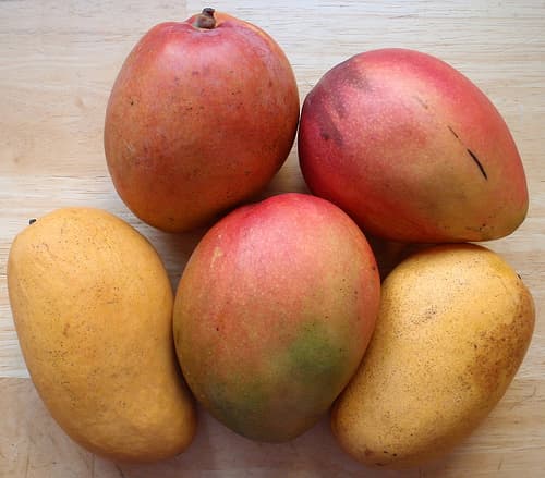 1 Million Mangoes Have Been Recalled For Salmonella