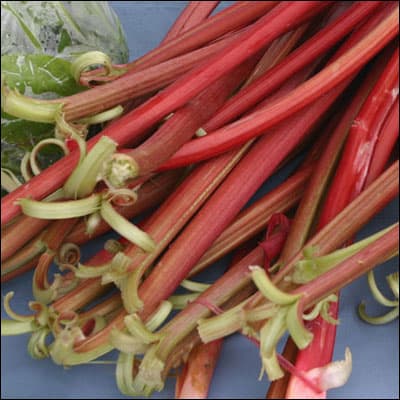 For The Pantry: Orange and Rhubarb Marmalade