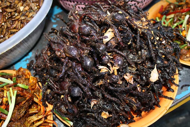 Extra Crunchy Insect Recipes