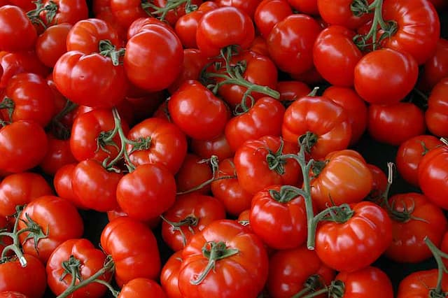 Tomatoes