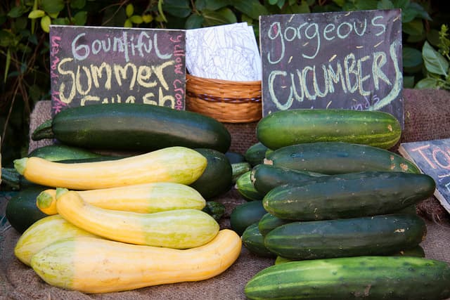 Summer Squash and Cucumber