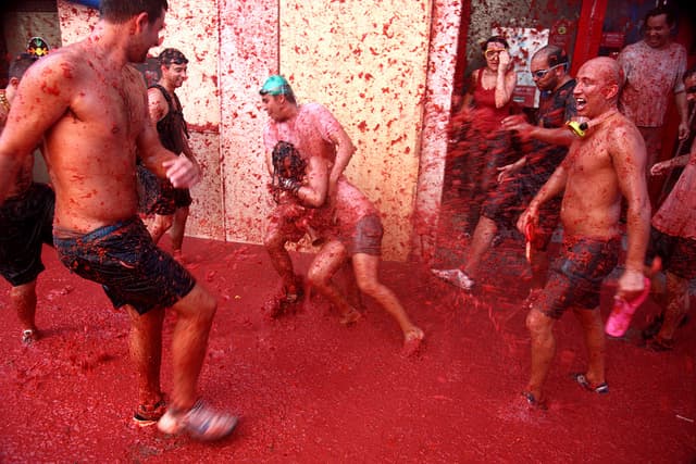 Incredible Tomato Fight Pictures