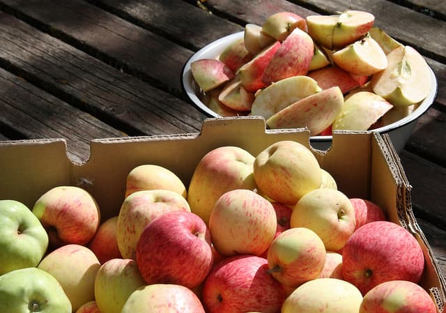 Local Food Now Worth $4.8 Billion 