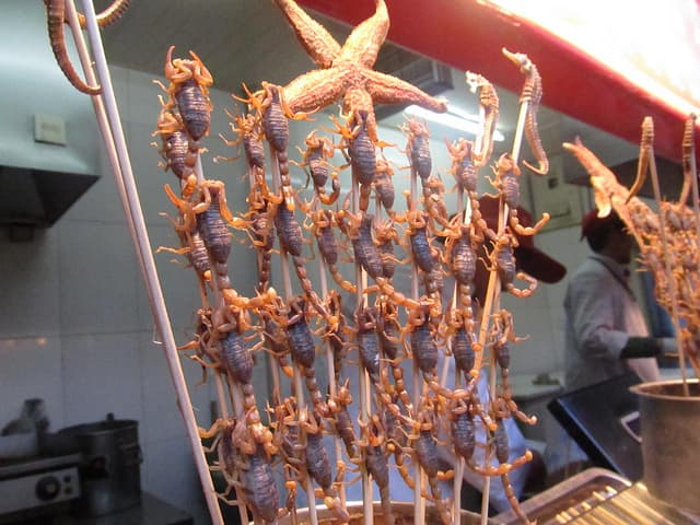 Weirdest Food You've Ever Eaten