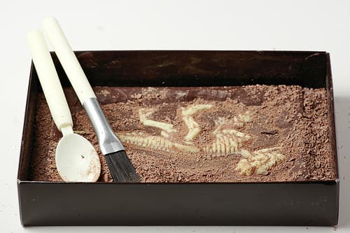 Jurassic Chocolat