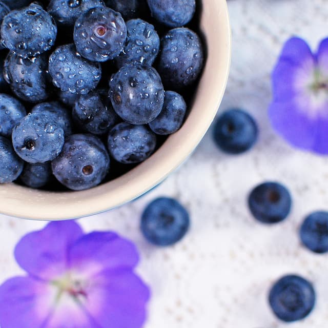 Blueberry Chicken Pasta Salad with Field Greens