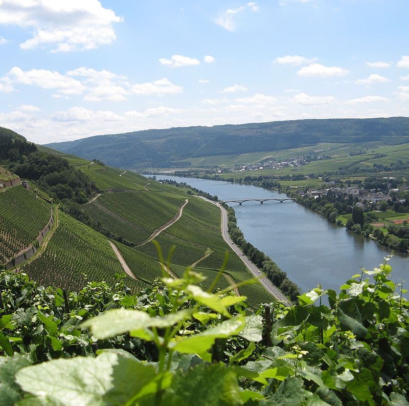 A River Cruise Through Germany's Reisling Region