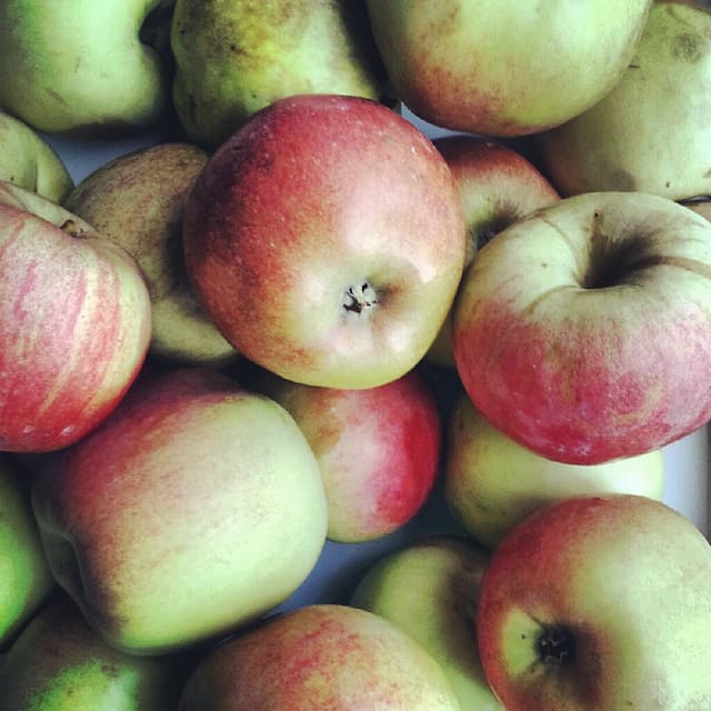 20 New Ways To Use Apples