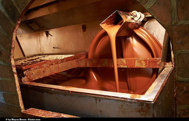Ever Wondered How Chocolate Is Made? Check Out This Infographic