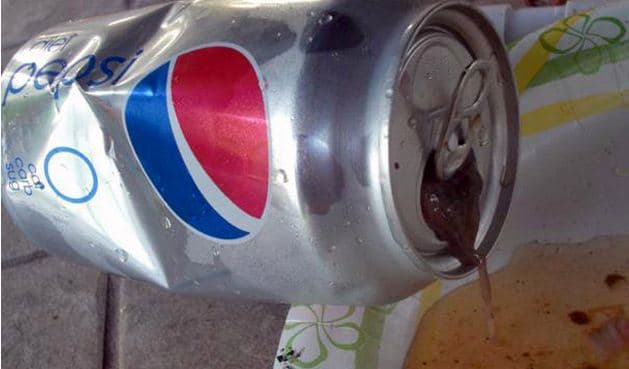 10 Most Terrible Objects Found In Food