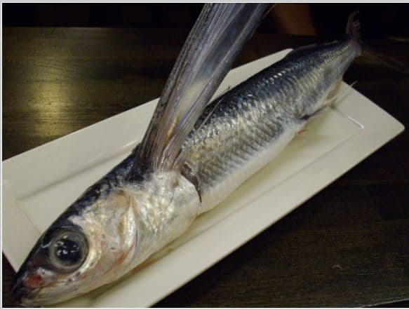 20 Bizarre Japanese Seafood Dishes