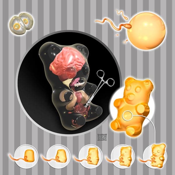 The Immaculate Confection Print Illustrates How a Gummy Bear is Made