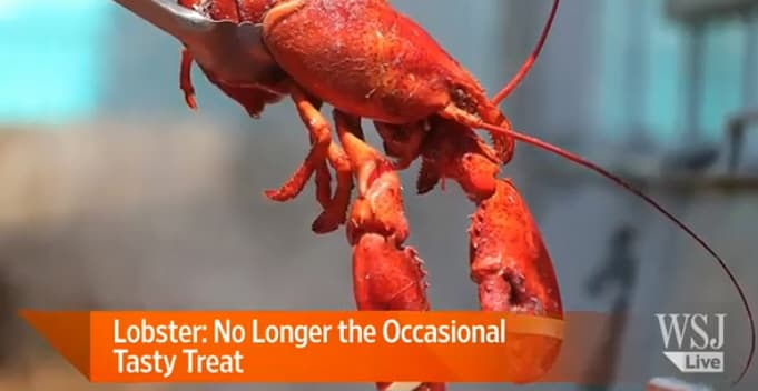 WSJ Lobster