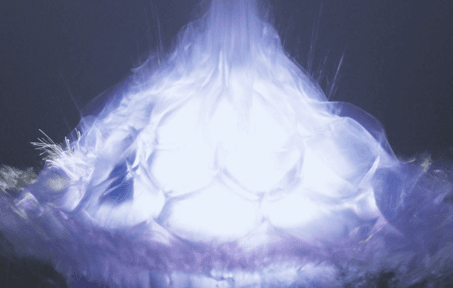 Wedding Cake Explosion Service