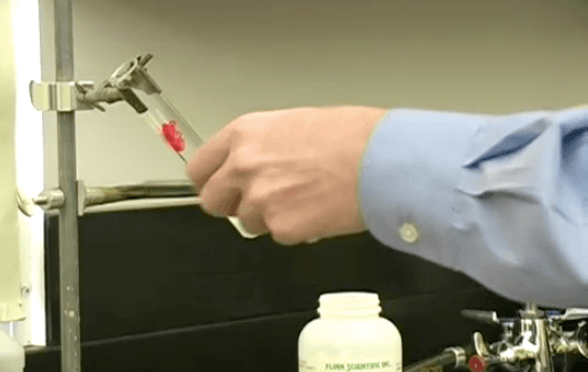 Gummy Bear Experiment