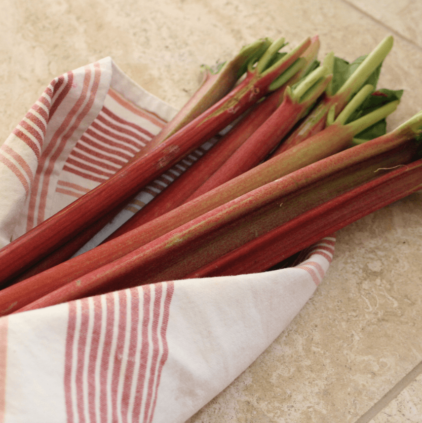 Radical Rhubarb Salsa