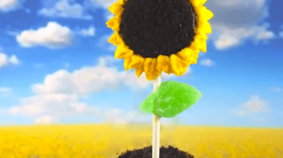 No-Bake Sunflower Cookie Pops