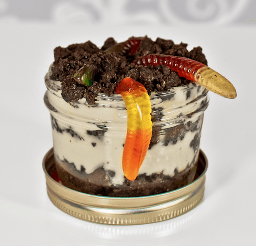 Worms in Dirt Pie for Earth Day