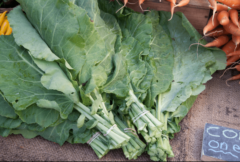 collard green