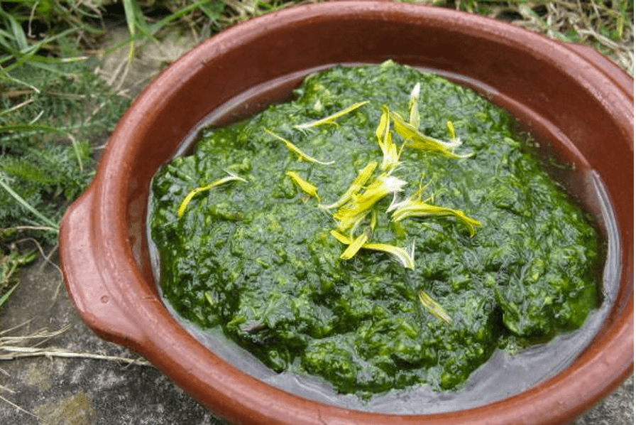 Rich Dandelion Pesto