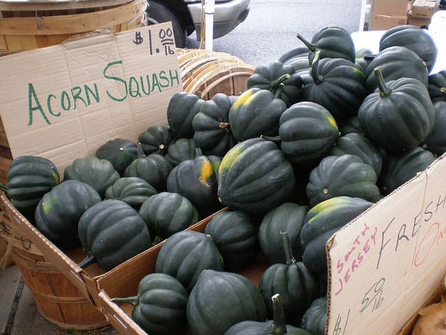 squash