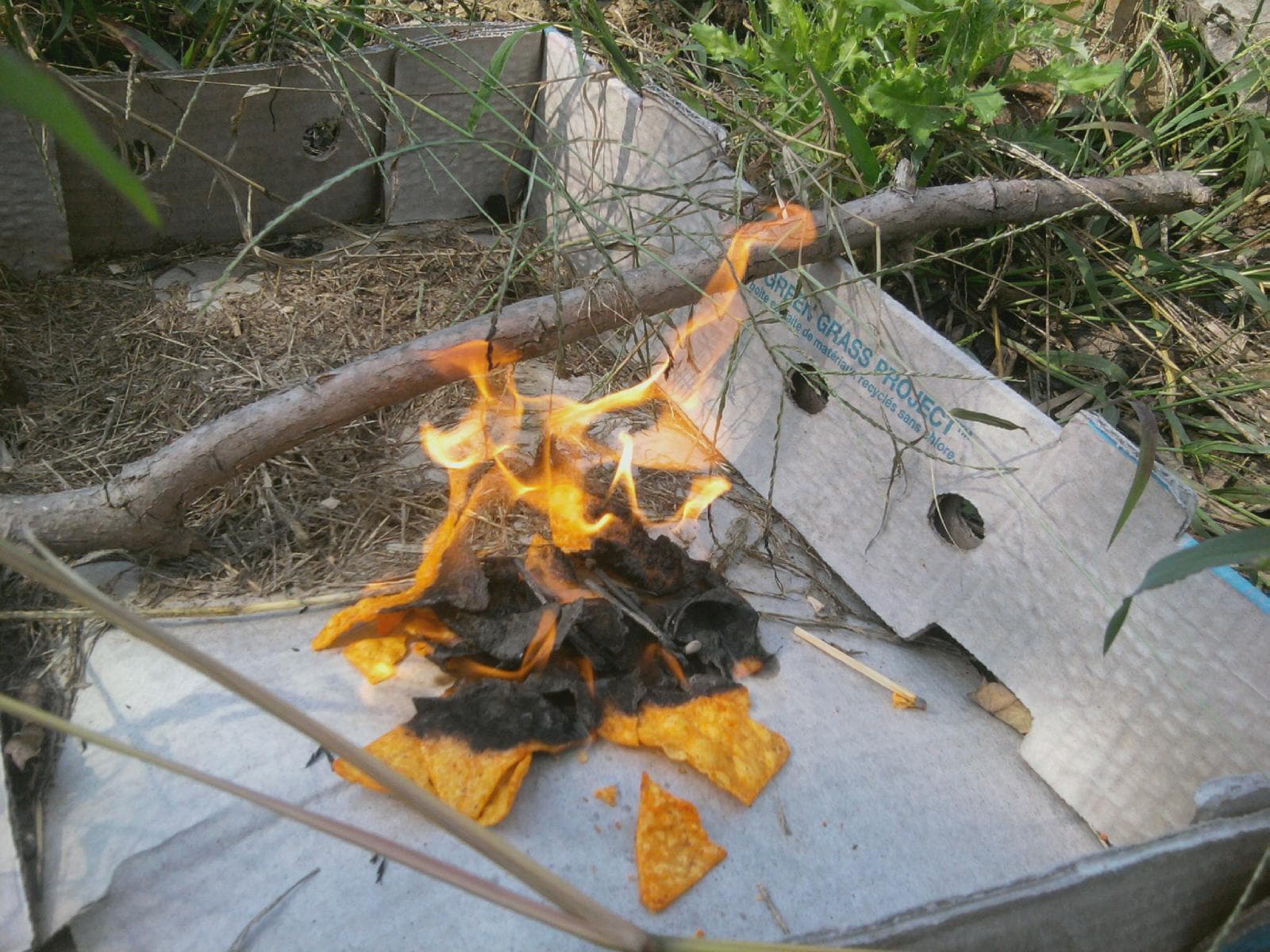 Use Chips to Start a Fire