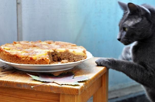 Vegetarian Upside Down Apple Cinnamon Cake