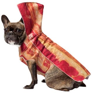 A Bacon Halloween Costume For Your Pooch