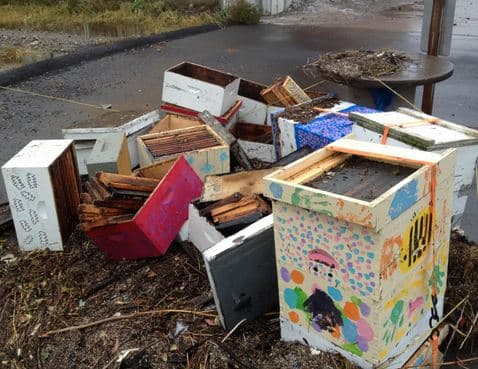 Hurricane Sandy Destroys Urban Bee Farm