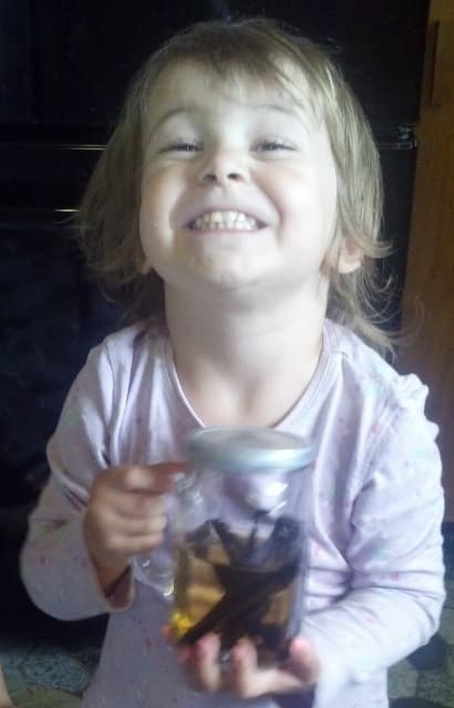 Frugal Eats: Homemade Vanilla