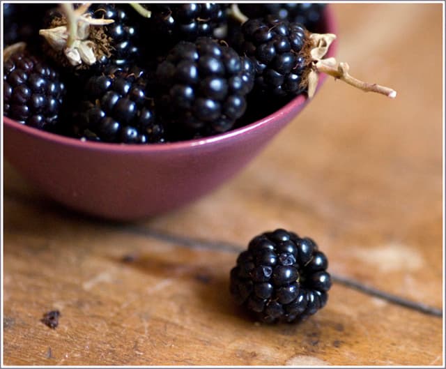blackberries