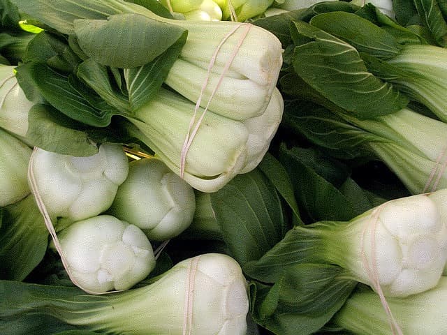 bok choy