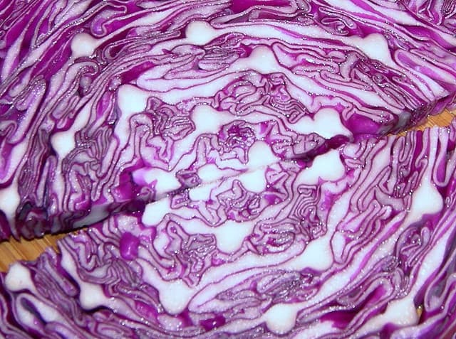 purple cabbage