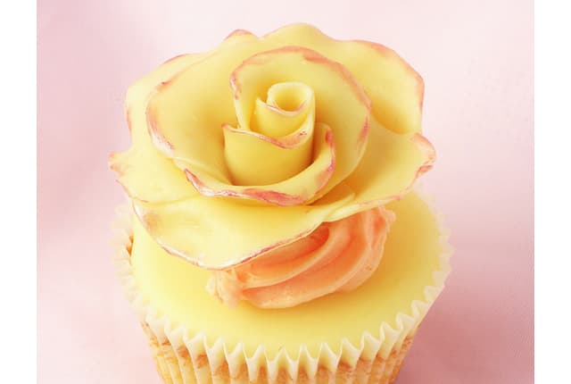 white chocolate rose yellow and pink