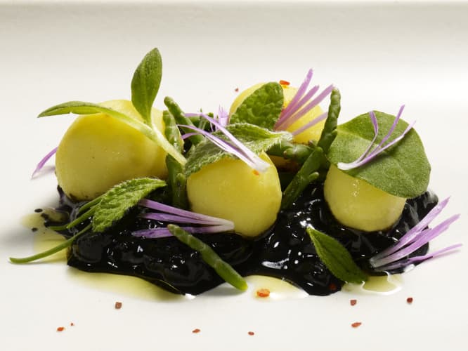 coi restaurant food potatoes ice plant flower cucumber and borage