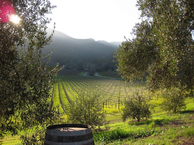 francis ford coppola inglenook