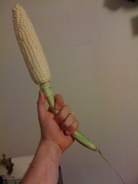 corn