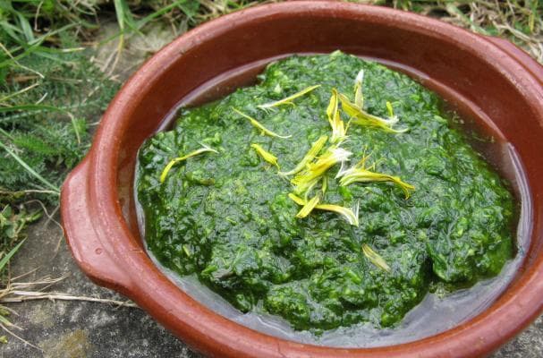 Fresh Dandelion Pesto