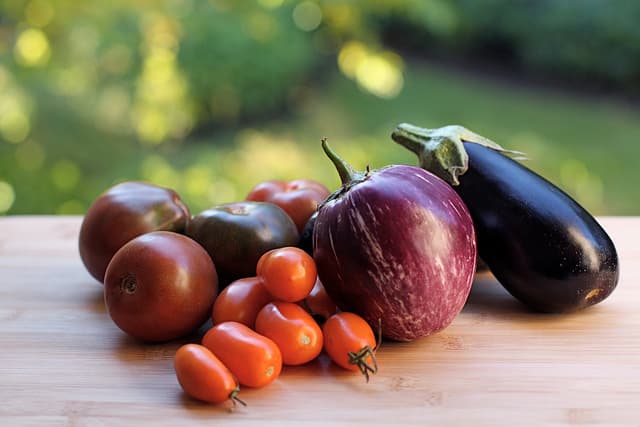 eggplant tomatoes