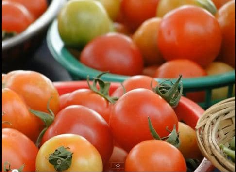 A View Of The Fall Farmers Market - Video