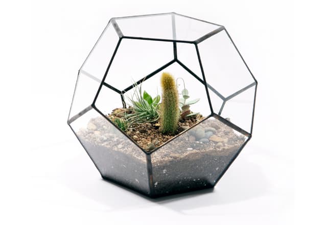 geodesic terrarium from Score + Solder