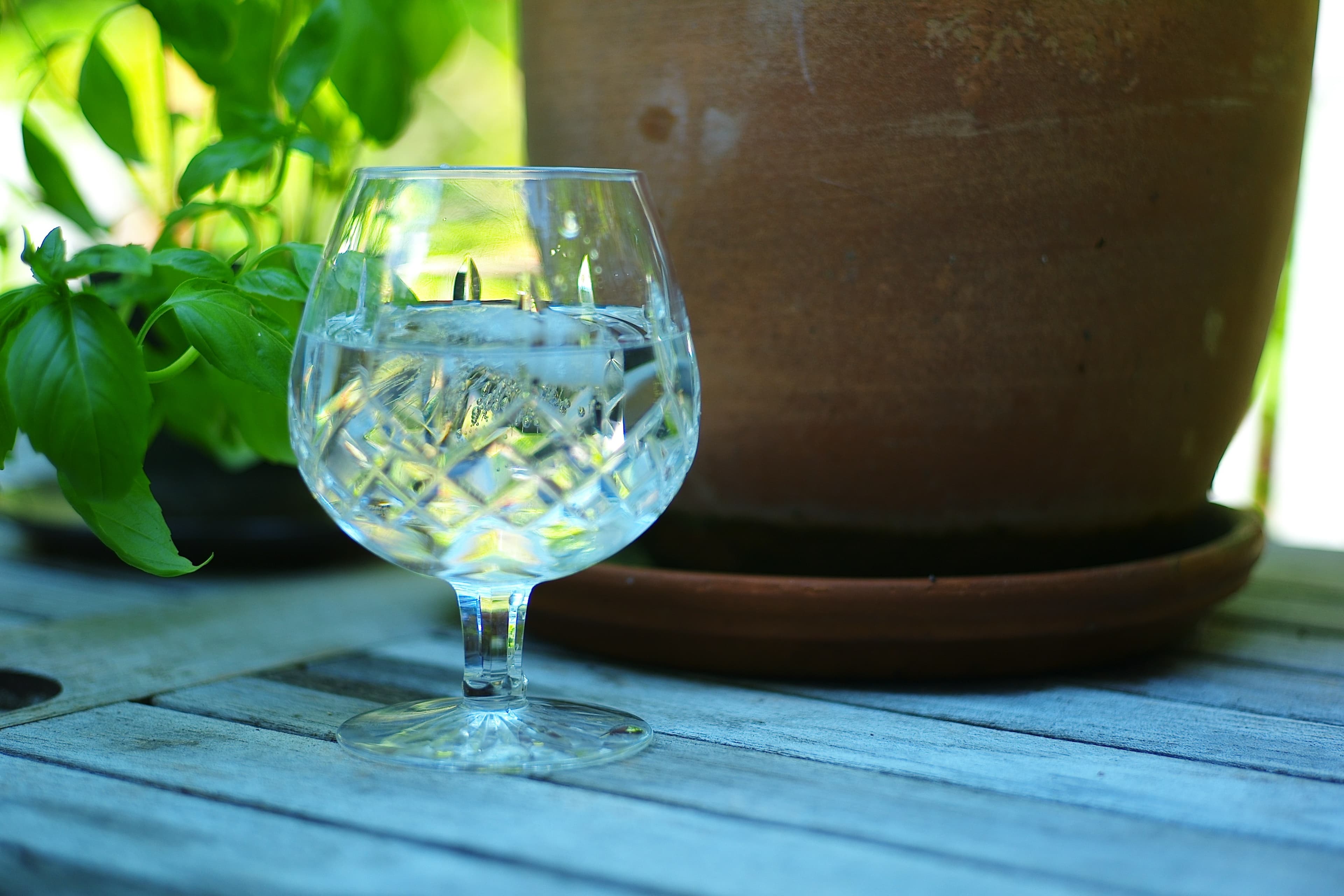 Aviation Gin with a Twist 