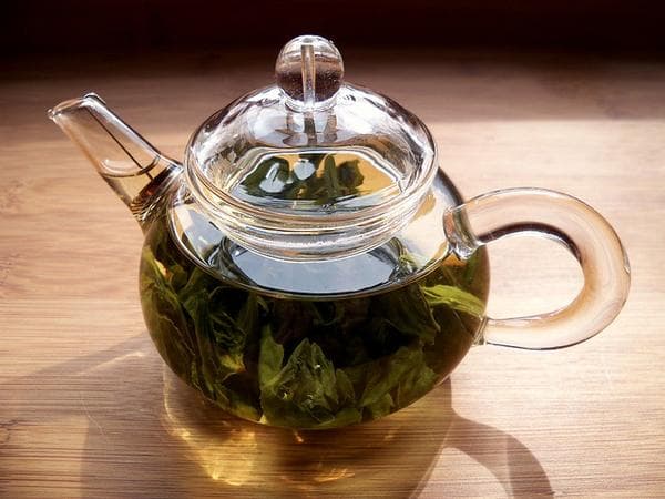 Green tea brewed in a teapot.